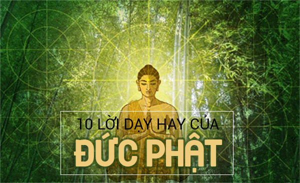 10-loi-day-cua-duc-phat-tu-bi-ve-cuoc-song-ma-ban-phai-thuoc-nam-long-1