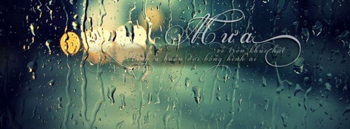Những câu nói hay nhất ý nghĩa nhất về mưa khiến người nghe trĩu lòng